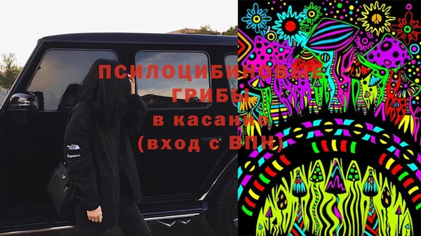 мяу мяу мука Михайловка