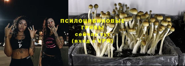 метадон Михайловск