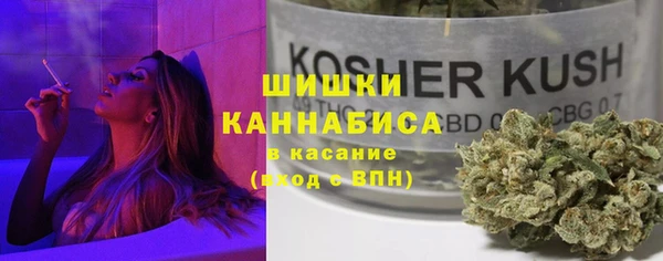 сатива Белоозёрский