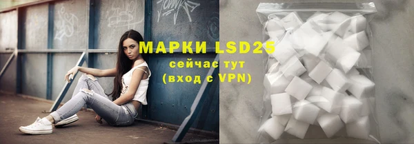 мдпв Богданович