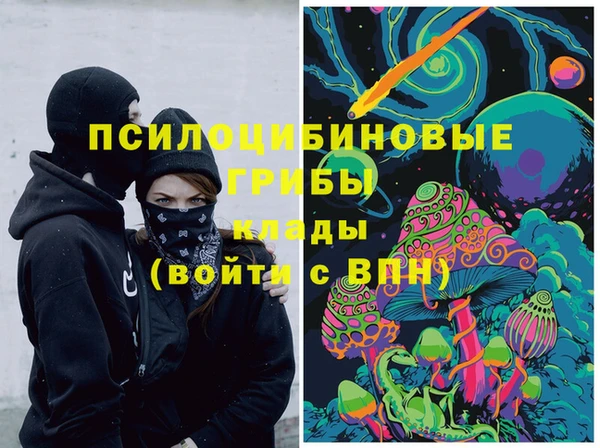 соль ск Белокуриха