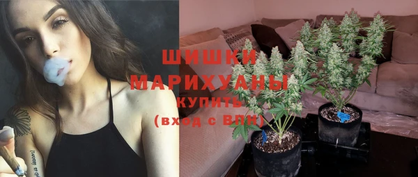 соль ск Белокуриха